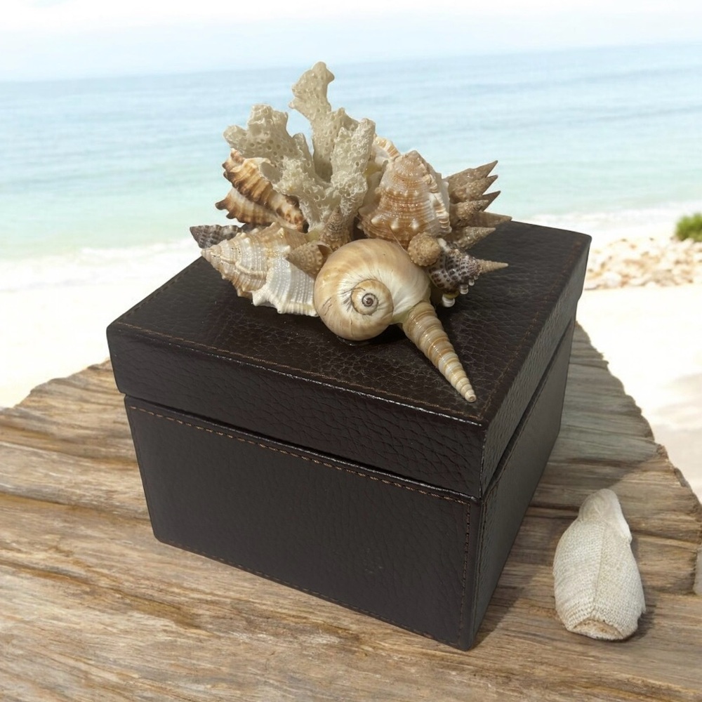 Vtg Brown Leather Box With Large Seashell Cluster Topper Coastal Decor